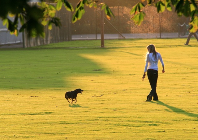 Woman walking a dog off-leash.
