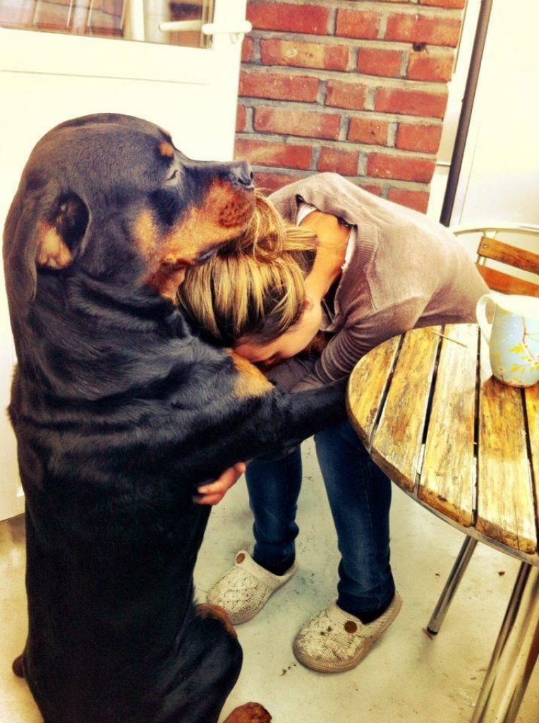 A woman hugging a dog.