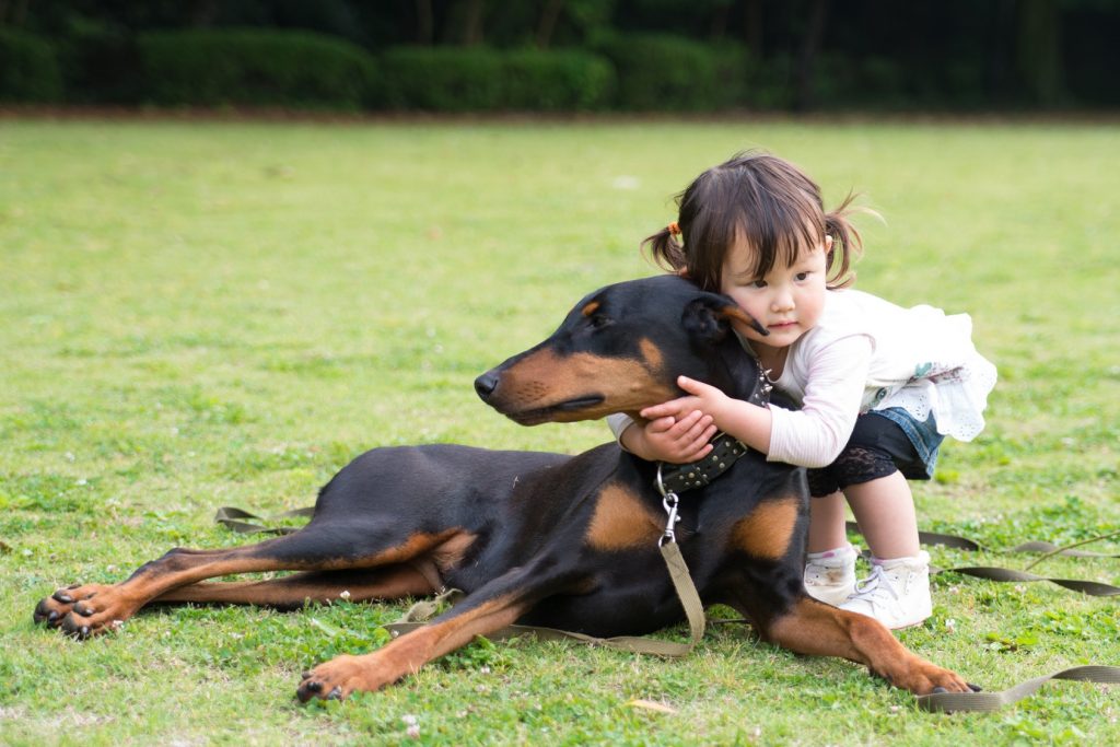 Dog Bites Child | older children | puncture wounds | pit bulls | up to date