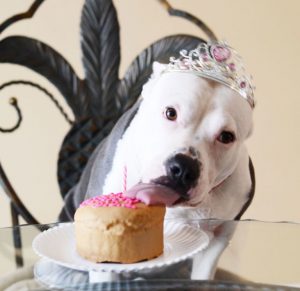 desserts for dogs