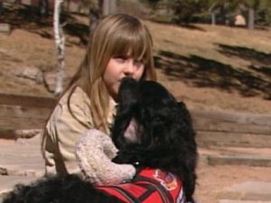 service dogs |