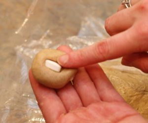treat bladder infections