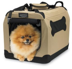 Soft-sided dog crate.