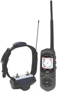 Dog Expedition TC1.
