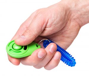 Person holding a clicker.