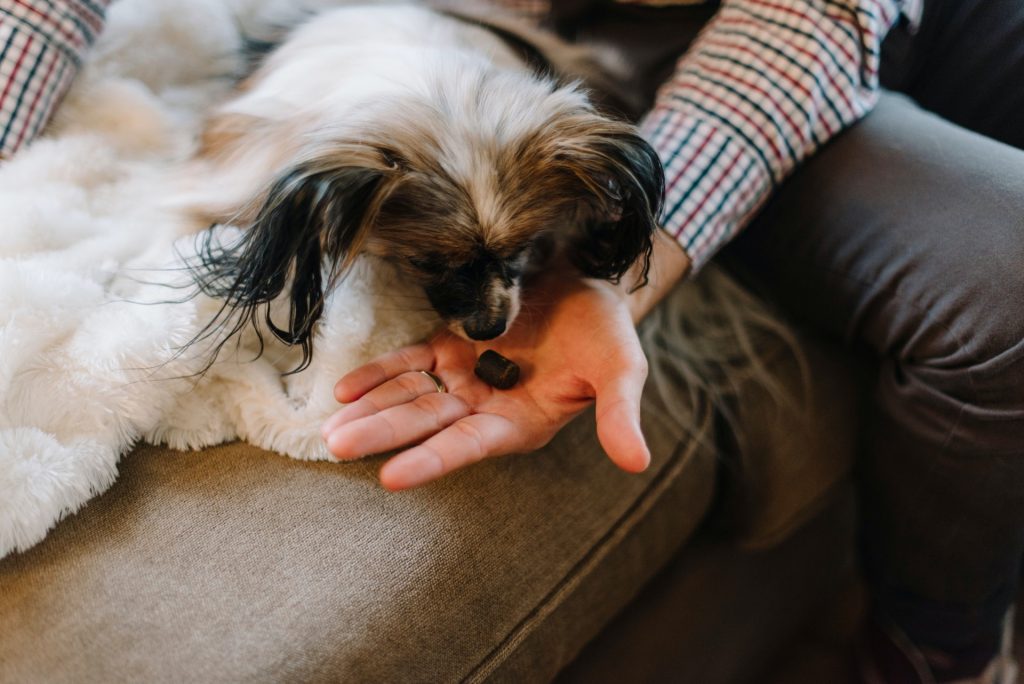Offering a treat.