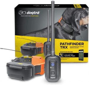 Dogtra Pathfinder TRX 9-Mile 21.