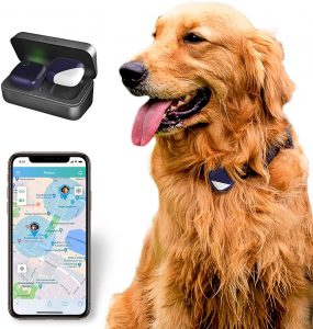 PETFON Pet GPS Tracker.
