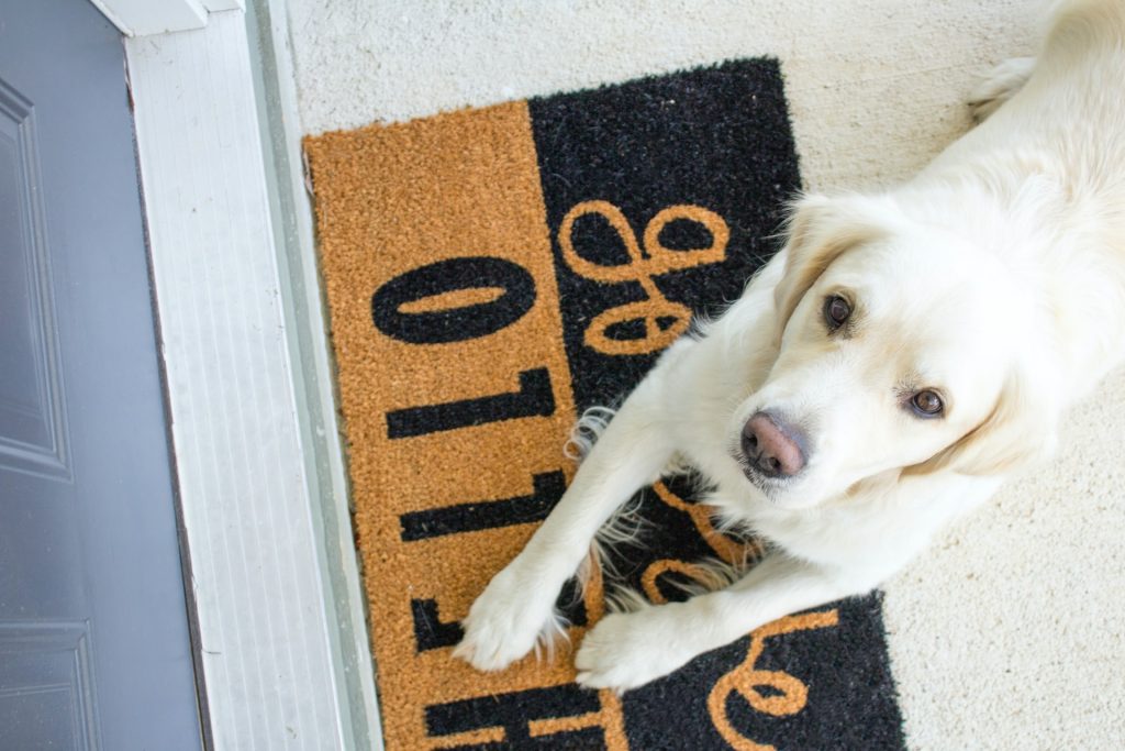 Dog on a welcome mat.