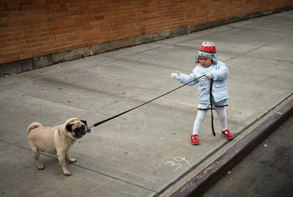 Child pulling dog leash.