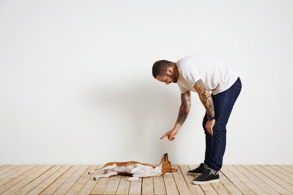 Man teaching dog to roll over | dog roll