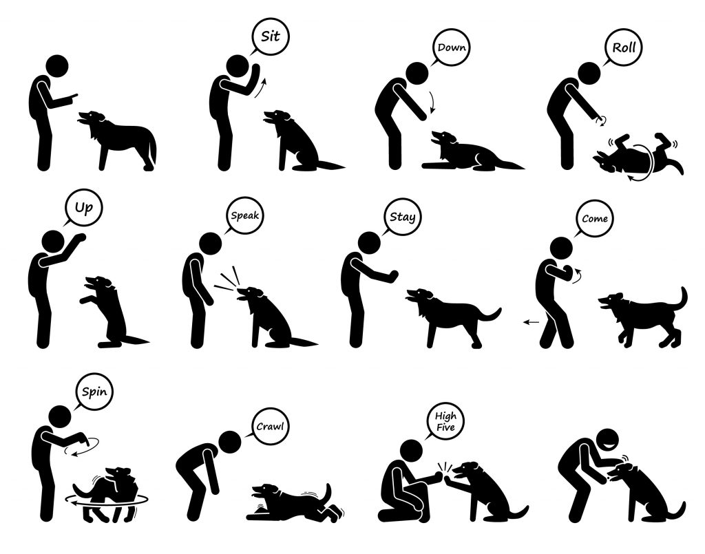 Dog hand signals chart.