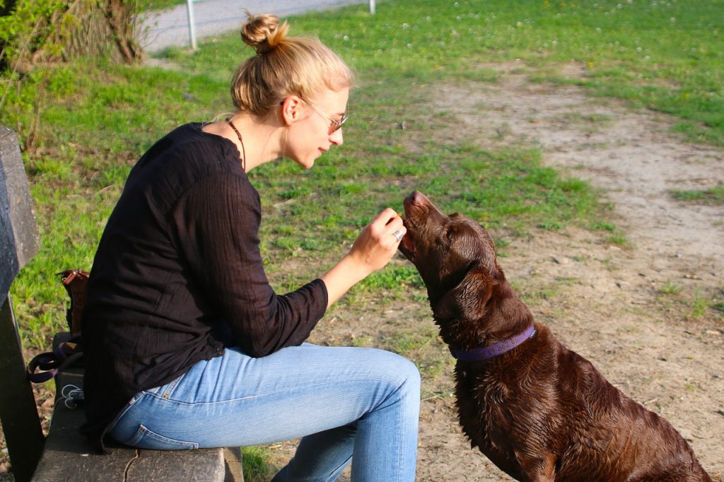 Woman giving treat to dog.