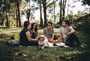 Dog with group of people.