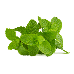 Mint.