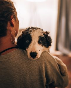 Person hugging a dog.