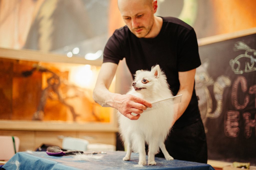 Man brushing dog's fur.
