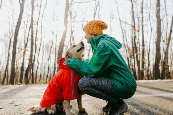 warm in the winter | dog owner | pet parent | dust mites pay attention