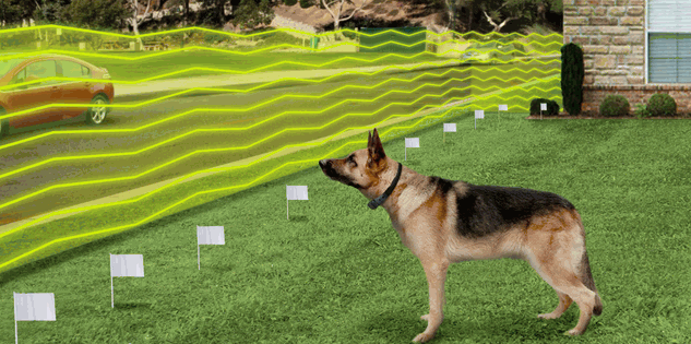 Invisible dog fence.