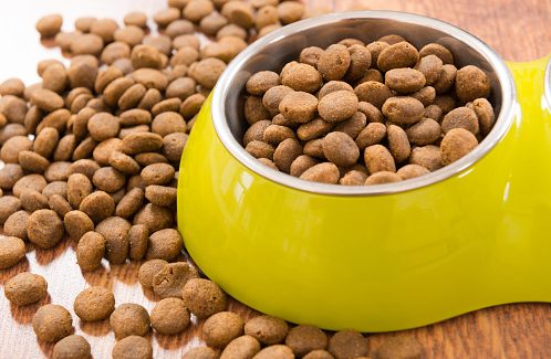Dry dog food in a bowl.