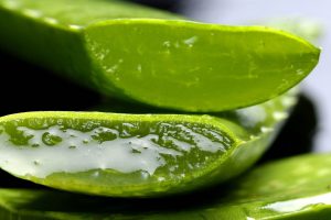 Aloe vera.