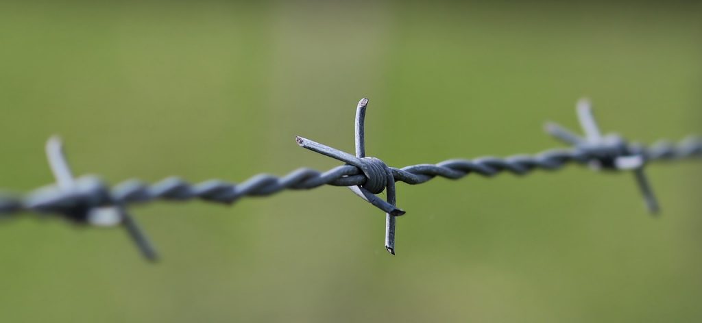 Barbed wire.