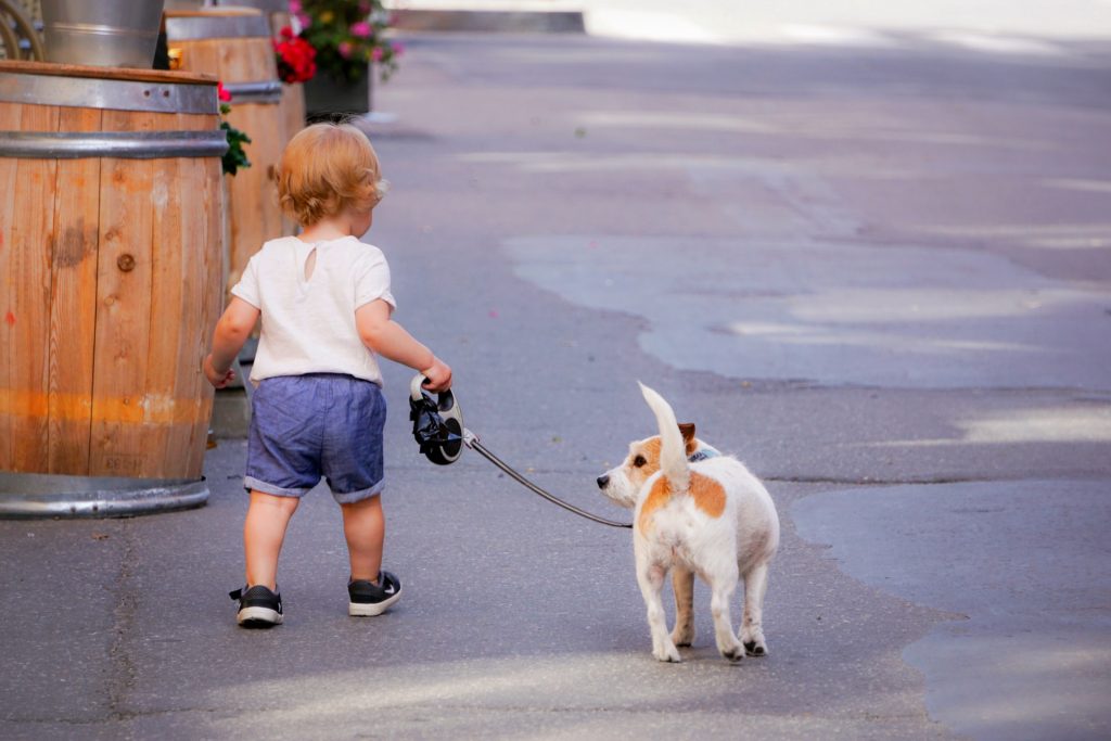 Little child and dog.