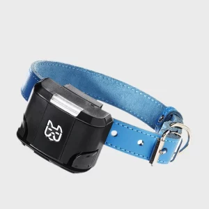Wagz Freedom Smart Dog Collar.