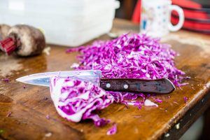 Can Dogs Eat Cabbage?