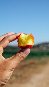 Person holding bitten nectarine.