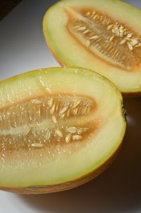 Can Dogs Eat Honeydew?