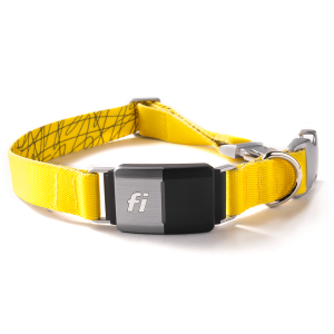Fi Smart Dog Collar.