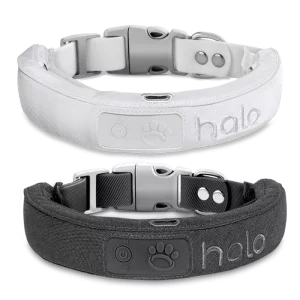 Halo 2 Collar.
