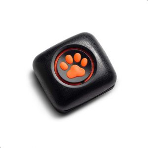 PitPat Dog Activity and Fitness Monitor.