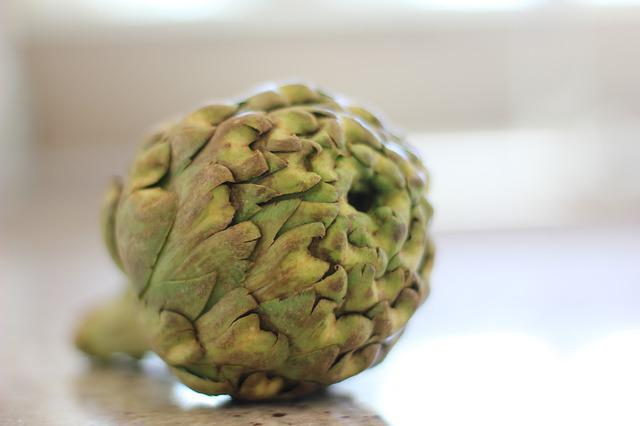 Closeup artichoke.