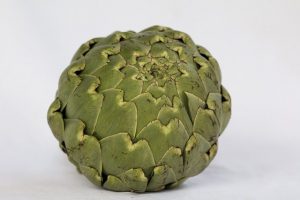 Can Dogs Eat Artichokes?