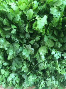 Cilantro leaves.