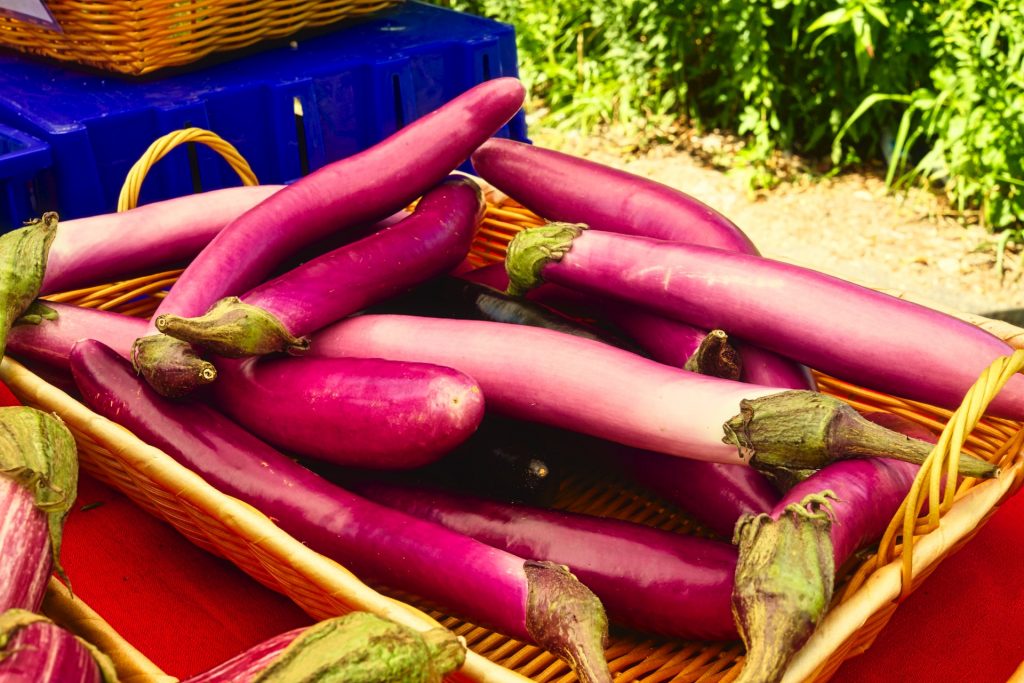 Can Dogs Eat Eggplant? Benefits And Risks Of This Nutritious Veggie