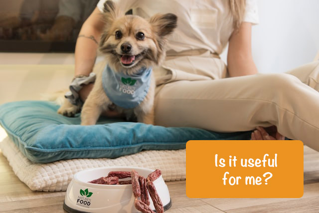 a smiling dog sits next to its owner on the sofa