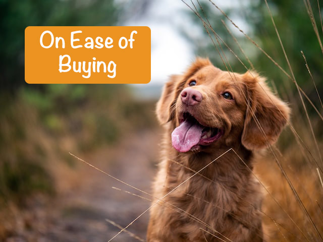 thoughtful red dogwith question "On Ease of Buying?"