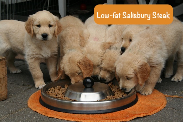 four puppies are eating dogs food with text Low-fat Salisbury Steak
