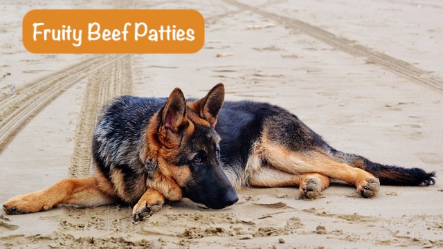 a dog is lying on the road with sad face and text Fruity Beef Patties
