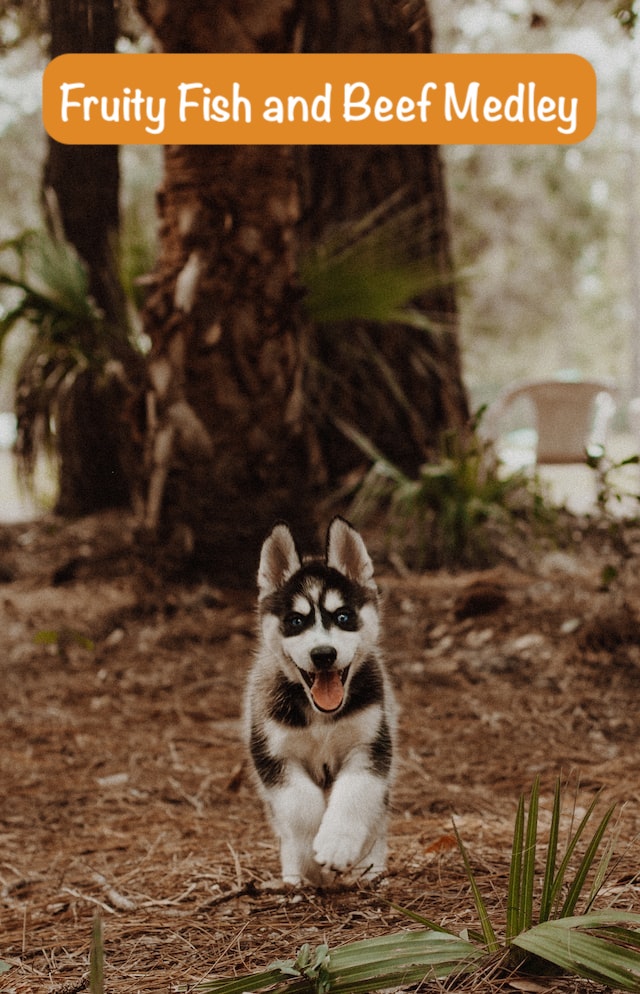 small hasky runs in forrest with text Fruity Fish and Beef Medley